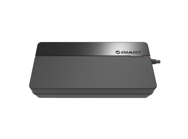 Giant Lader EnergyPak Smart Charger 6A 100-240V L