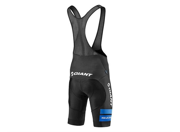 Giant Race Day Bukse kort    S TransTextura High Compression