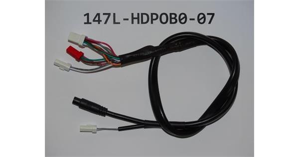 19626