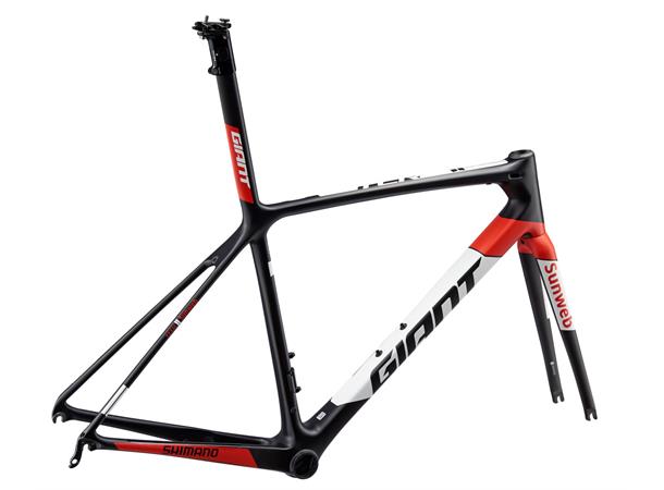 Giant 19 TCR Adv SL-FF Team L Rammekit