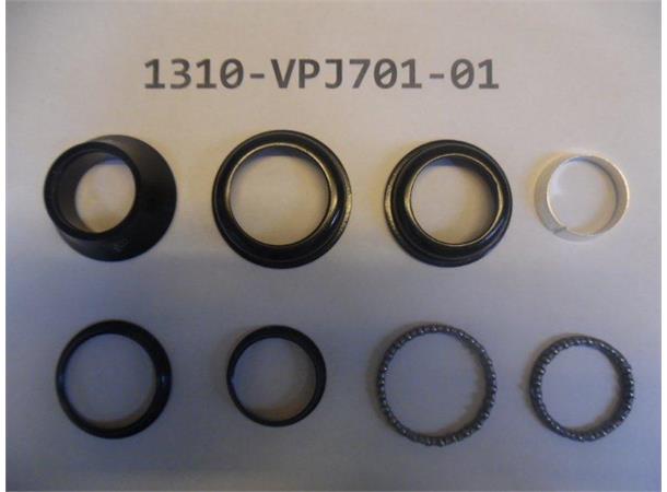 Giant Styrelager VPJ701-01 For Giant Contend