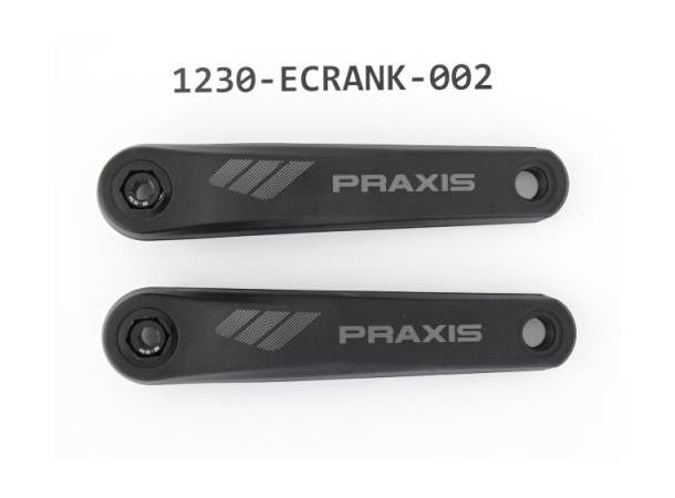Giant E Krankarmer PRAXIS 2D 165mm H+V
