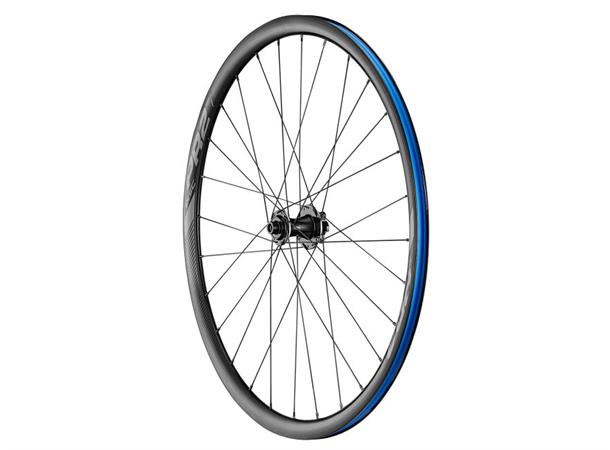 Giant Forhjul Road PR-2 Disc 12x100 6 bolt disc