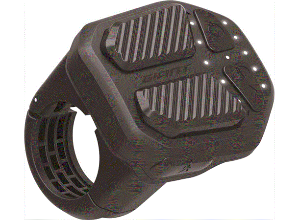 Giant RIDECONTROL ERGO (MY21)