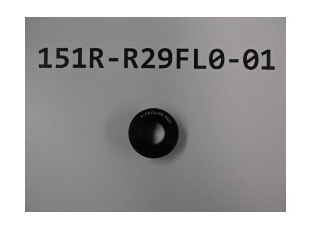 Giant End Cap Left R29-F Endestykke SR2/PR2 Disc 700