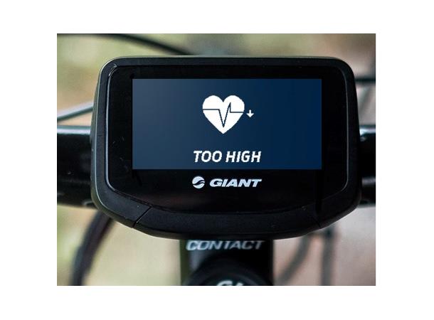 Giant RIDECONTROL  EVO Display