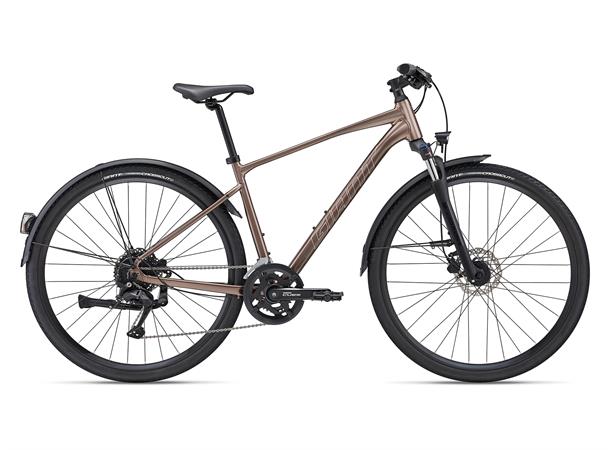 Giant 25 Roam 2 EX M Shimano Cues 2x9