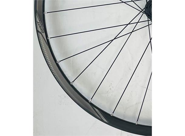 Giant Forhjul MTB 29+ 110x15 GX03V 6 bolt disc