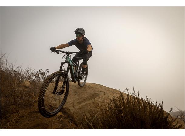 Giant  Reign 1 L Demo F: 170mm R: 160mm