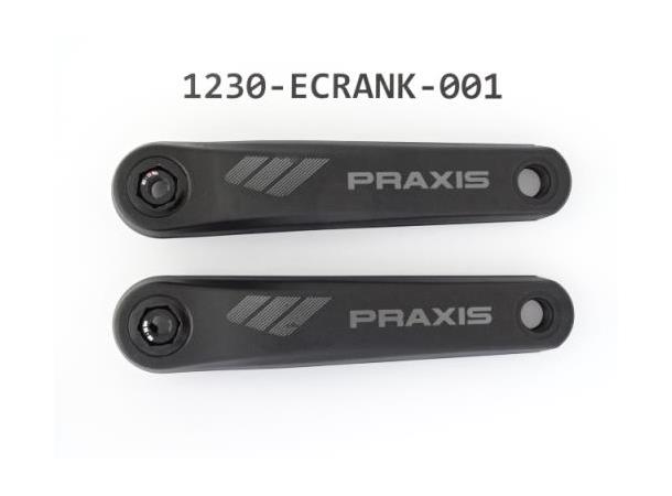 Giant E Krankarmer PRAXIS 2D 160mm H+V