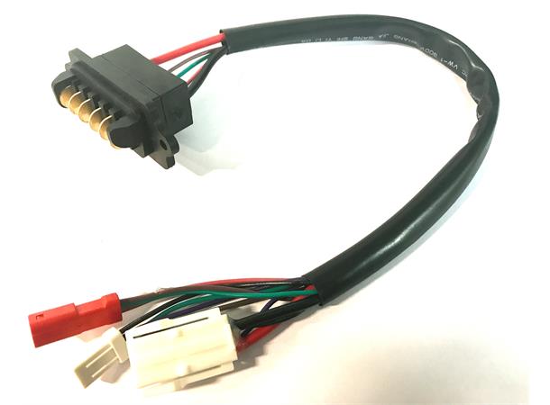 Giant E Main power wire 300mm & Charger Connect line 800mm