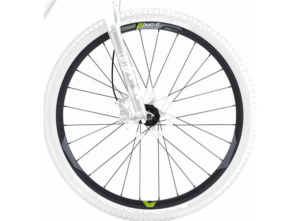 Giant Forhjul MTB 29" P-XC2 15x100 6 Bolt Disc