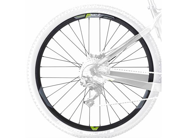 Giant Forhjul MTB 29" P-XC2 15x100 6 Bolt Disc